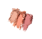 [TooCoolForSchool] Artclass By Rodin Blusher De Rosee 9.5g 3