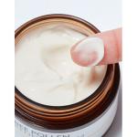 [Missha] Bee Pollen Renew Cream 50ml 3