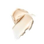 [MISSHA] Time Revolution Primestem100 Eye Cream 25ml 2