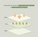 [Onething] Cica Peeling Toner Pad 180g/65pcs 7