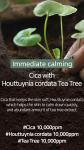 [Mary&May] CICA Houttuynia Tea Tree Calming Mask 30ea/400g 10