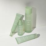 [Dewytree] DEWYTREE HEARTLEAF 100 TONER 200ml 5