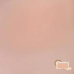 [ROMAND] Better Than Cheek 4g # N01 Nutty Nude 2