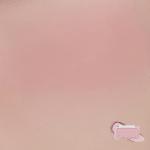 [ROMAND] Better Than Cheek 4g # N02 Vine Nude 2