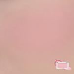 [ROMAND] Better Than Cheek 4g # C02 Blueberry Chip 2