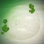 [Dr.Jart+] Cicapair INTENSIVE SOOTHING REPAIR SERUM MASK 25g 1ea 2