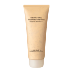 [Hanyul] Chestnut Shell Hydrating Pore Mask 100ml 1