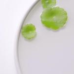 [PyunkangYul] Deep Cleansing Oil 290ml 6