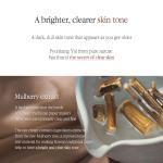 [PyunkangYul] Black Tea Time Reverse Eye Cream 25ml 12