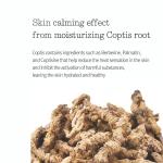 [PyunkangYul] Moisture Cream 100ml 8