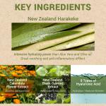 [theSAEM] Urban Eco Harakeke Fresh Cream 50ml 6