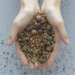 [Blithe] Vital Treatment 9 Essential Seeds 150ml 6