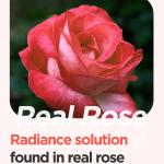 [Isntree] Real Rose Calming Mask 100ml 4