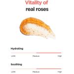 [Isntree] Real Rose Calming Mask 100ml 7