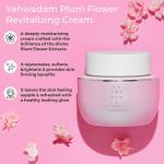 [Thefaceshop] YEHWADAM PLUM FLOWER REVITALIZING EYE CREAM - 25ML 3