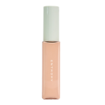 [ENTROPY] ORGANZA FIT SPATULA FOUNDATION #21.1 2