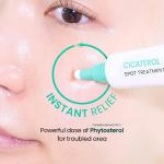 [Beplain] Cicaterol Spot Treatment 15ml 10