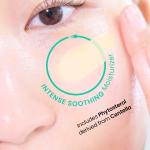 [Beplain] Cicaterol Moisturizer 60ml 5