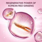 [DONGINBI] Red Ginseng Daily Defense Essence - 30ml 5