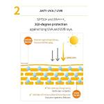 [Laneige] RADIAN-C SUNCREAM 50ml(SPF50+) 10