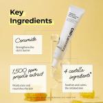 [Cnp Laboratory] Propolis Ampule Active Shot Cream 75ml 6