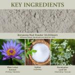 [BRMUD] Recovery Mud Peel Off Mask 110ml 5