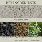 [BRMUD] RECOVERY MUD PACK TO FOAM CLEANSER 110ml 5