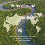 [Mixsoon] Vegan Melting Lip Balm (Clear) 4.1g 5