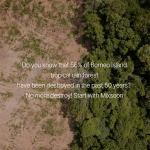 [Mixsoon] Vegan Melting Lip Balm (Clear) 4.1g 6