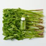 [filflo] Calm-clera infused minari calming serum 45ml 7