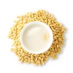 [filflo] Collapep infused jat-makgeolli firming serum 45ml 8