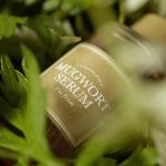 [ImFrom] Mugwort Serum 30ml 6