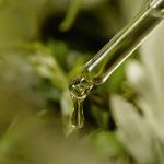 [ImFrom] Mugwort Serum 30ml 7