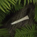 [haruharuwonder] Black Rice Bakuchiol Eye Cream 20ml 7