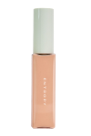 [ENTROPY] ORGANZA FIT SPATULA FOUNDATION #25.3 2