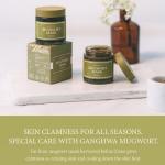 [ImFrom] Mugwort Mask 110g 11