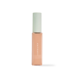[ENTROPY] ORGANZA FIT SPATULA FOUNDATION #25.3 1