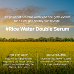 [Abelty] Rice Squalane Glow Double Serum 50ml 7