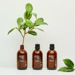 [Beaudiani] Jojoba Oil 100ml 10
