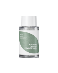 [Isntree] Mugwort Calming Powder Wash 15g 2