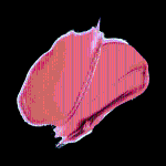 [Tiny Wonder] Hyper Dewy Lip Tint 3.4g - 6 Colors 16