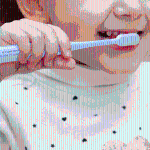 [PyunkangYul] Kids Toothbrush 12ea 3