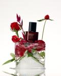 [haruharuwonder] Rose PDRN Firming Serum 30ml 2