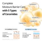 [VT Cosmetics] Rice Ceramide Capsule Cream 50ml 9