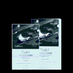 [THE LAB by BLANC DOUX] Green Flavonoid™ 2.0 Mask 10p 1