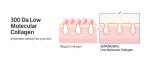 [SUNGBOON EDITOR] Deep Collagen Power Boosting Cream In Serum 35ml 9