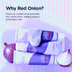 [Isntree] Onion NewPair Gel Cream Plus 50ml 3
